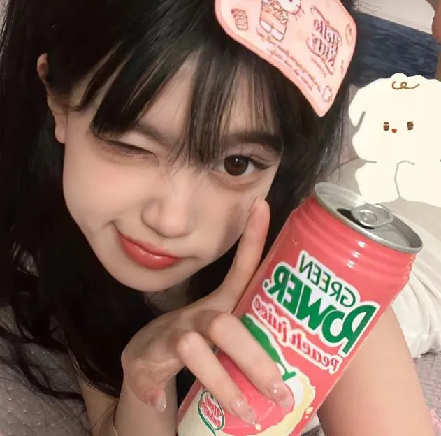 山茶花飘零