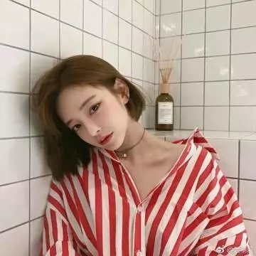 隔墙花